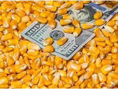 CBOT market on March 30: Corn futures closed down, focusing on USDA planting intentions and inventory data