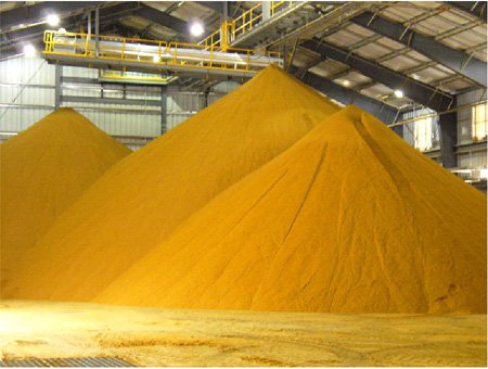 Application of Corn Gluten Meal in Feed